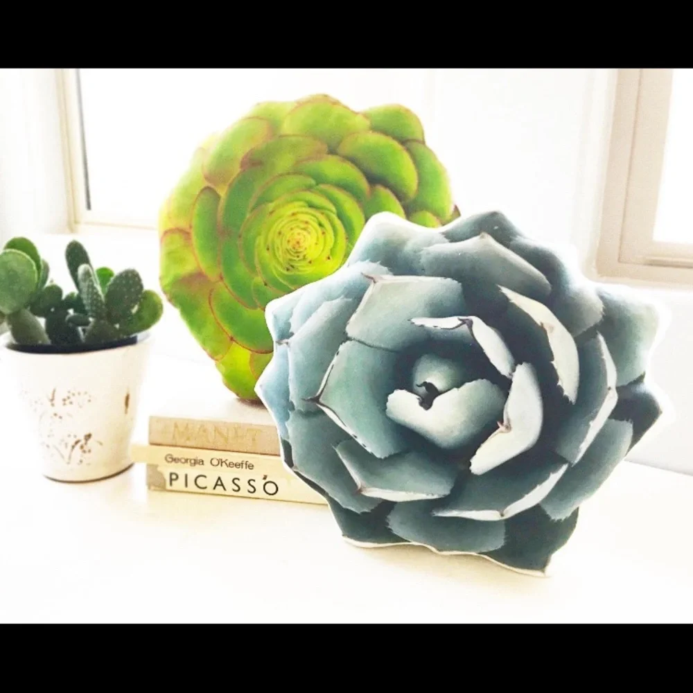 🆕 Agave Truncata Linen Pillow